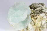 Wide Aquamarine Crystal On Muscovite Matrix - Pakistan #93520-7